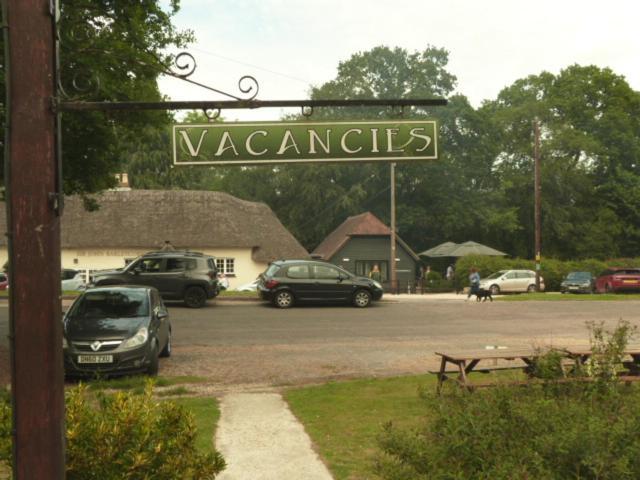 Twin Oaks Guest House Cadnam Zewnętrze zdjęcie