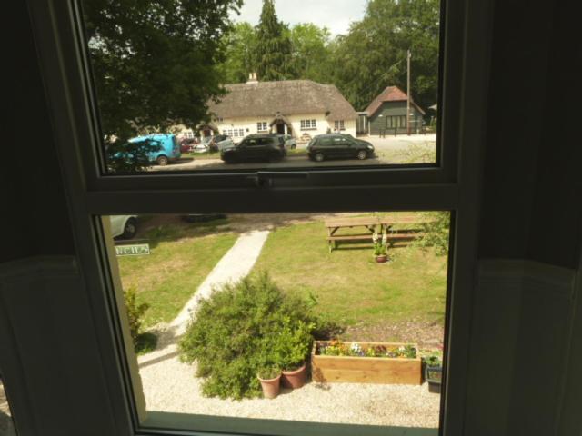 Twin Oaks Guest House Cadnam Zewnętrze zdjęcie